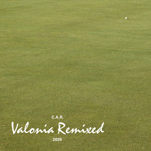 Clouds (Halosaur Remix)