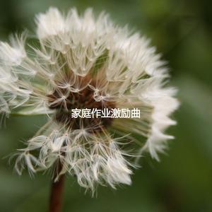 Background for Self Care Resolutions