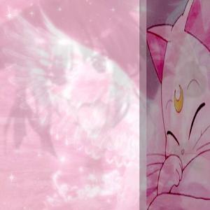 /ᐠ - ˕ -マ Ⳋ kitten