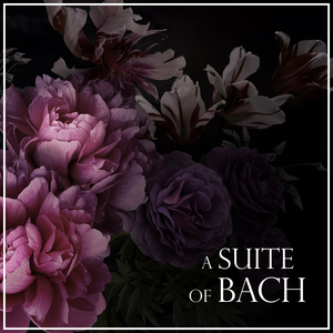 Orchestral Suite No. 2 in B Minor, BWV 1067:4. Bourrée I-II
