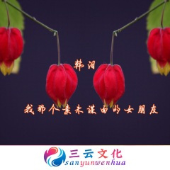 用尽一生去爱你 (DJ版)