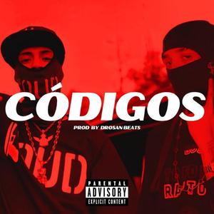 CÓDIGOS