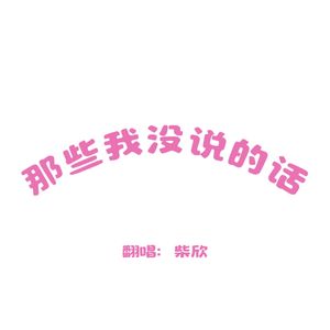那些我没说的话