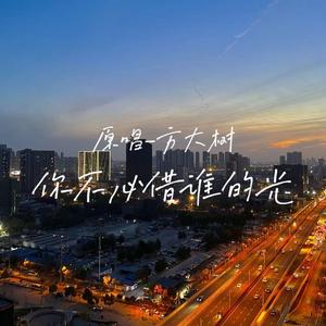 你不必借谁的光