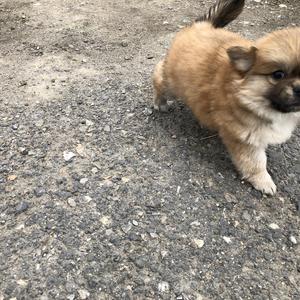 《我爱你，但与你无关》词曲唱 赵鑫