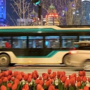 小跳