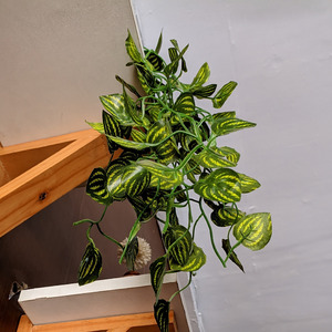 Beksound no Copyright