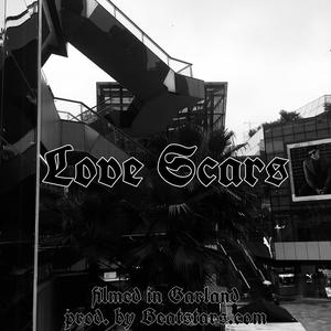 Love scars(pt.2)