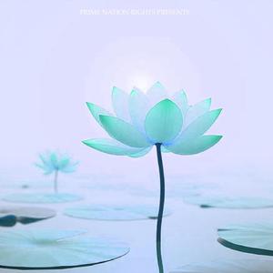 Empathy Heart Flow Deep