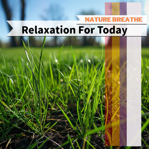 Harmony in the Shadows