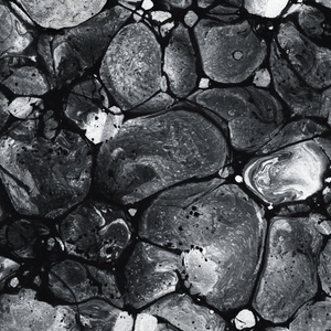 The Poet Knows How It Goes