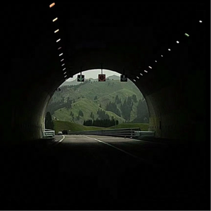 给我一个理由忘记（抖音版）