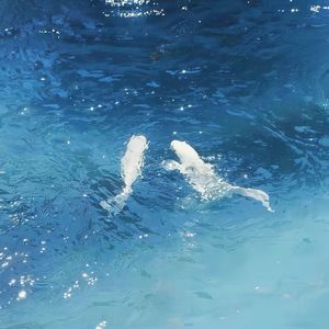 寄了很久很久的信