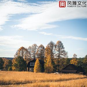 林深见鹿不见你 -古筝