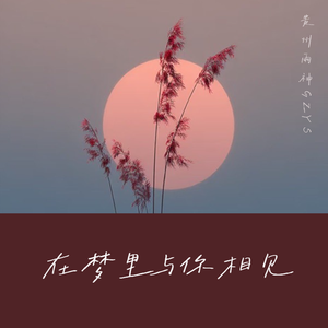 在梦里与你相见（伴奏）