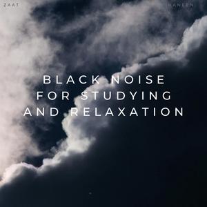 Black Noise For Studying