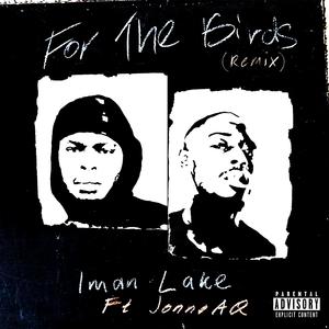 For The Birds (feat. JonnoAQ) (Remix) (Remix)