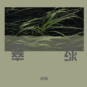 共鸣