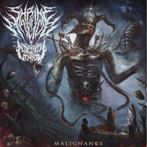 Lord Of Flies (Dead Cowboy Bootleg)