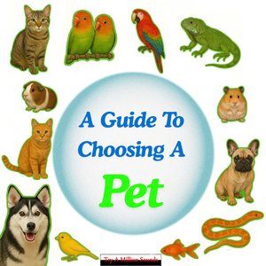 Creating a Healthy Diet for Your Pet