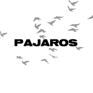 PAJAROS
