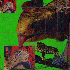 ProJect VinyL (feat. Lyzrd)