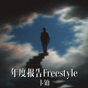 年度报告Freestyle