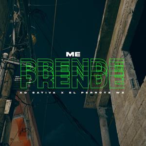 Me prende (feat. EL PERROTE WZ)