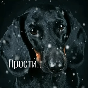 Прости...