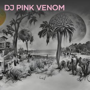Dj Pink Venom