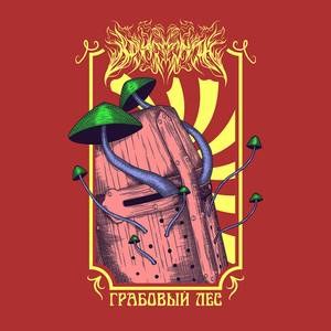 Солнцестояние