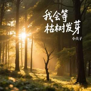 我会等枯树发芽