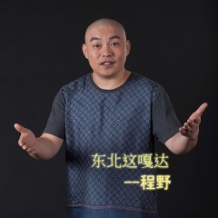 东北这嘎达 (DJ版)
