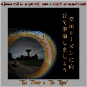 a Fêmea Está Se Preparando Para a Estação De Acasalamento