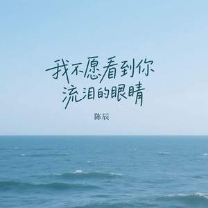 我不愿看到你流泪的眼睛