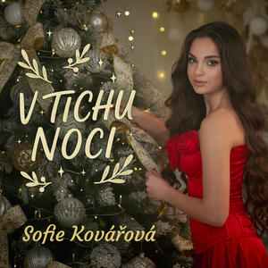 V tichu noci