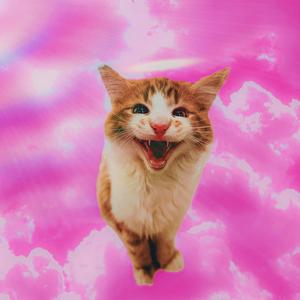 SANTI ANIMALI