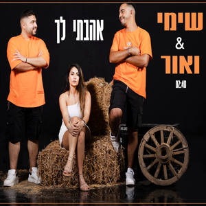 אהבתי לך - קאבר