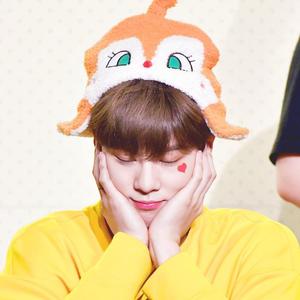 생일 축하합니다（翻自 咖啡少年）