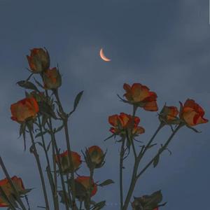 A Drop In An Ocean（少年的你BGM）