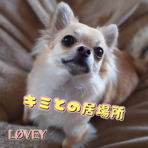 キミとの居場所