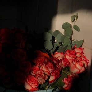 说好的幸福呢（cover周杰伦）