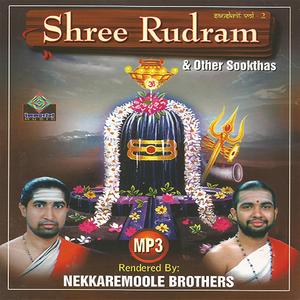 ShreeRudram and Other Sookthas