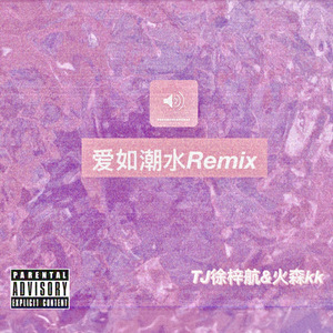 张信哲 - 爱如潮水Remix（TJ徐梓航 / 火森kk remix）
