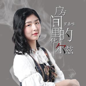 房间里的华尔兹