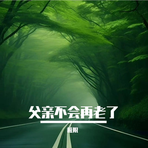 父亲不会再老了 伴奏
