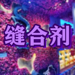 缝合剂(prod by 4Hunnid)