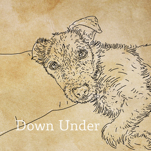 Down Under