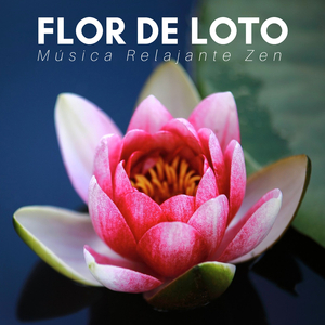 Flor de Loto