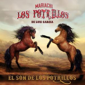 EL SON DE LOS POTRILLOS